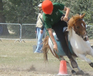 Pony Games en Ille et Vilaine